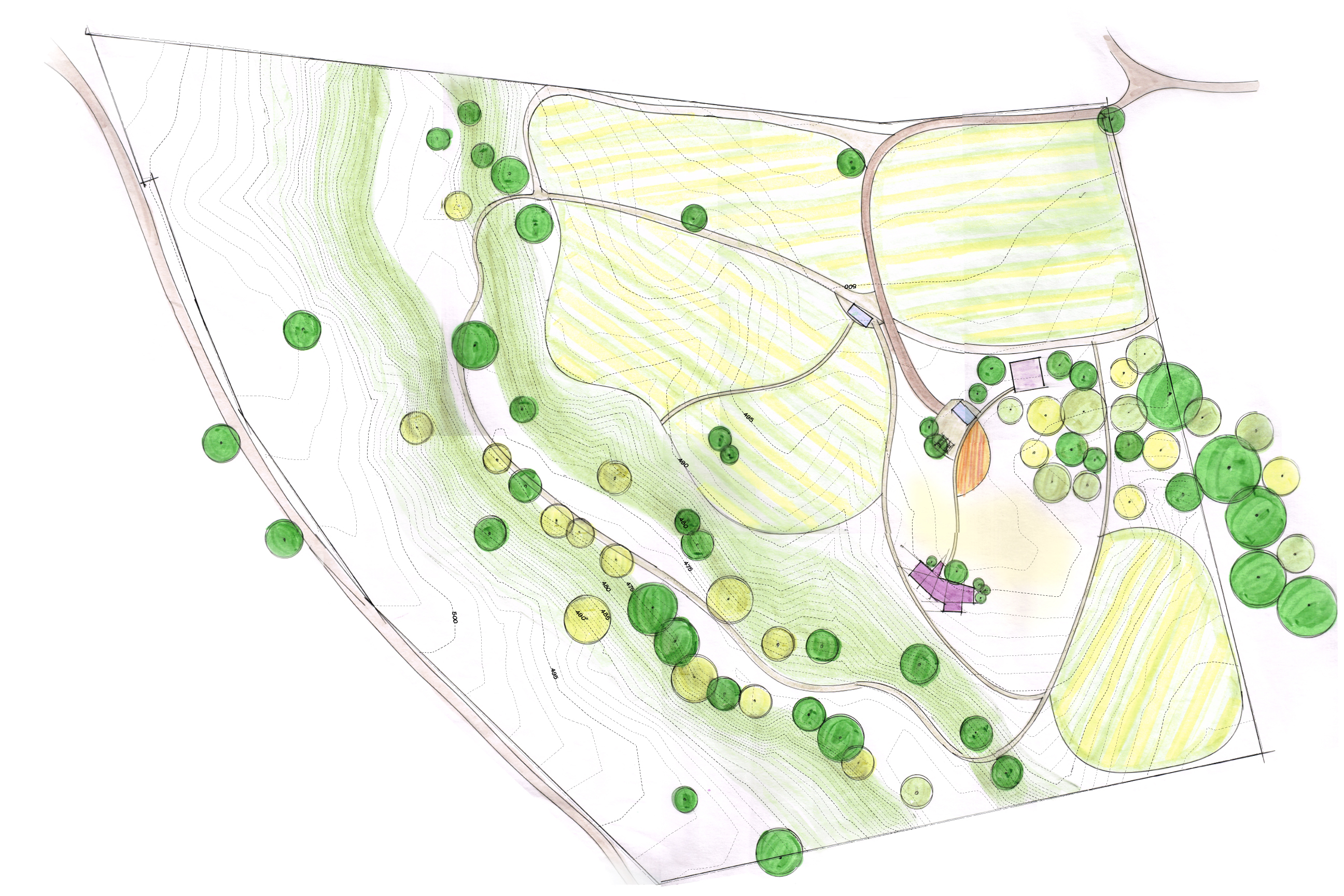 Finca-Plano Maestro.jpg